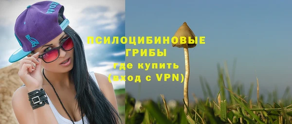 МДПВ Абаза