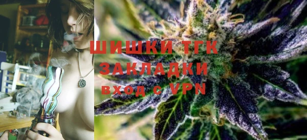 МДПВ Абаза