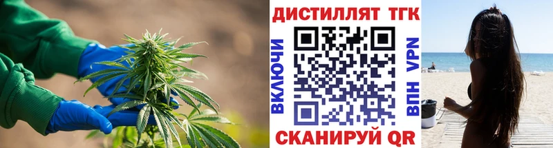 наркошоп  Балаково  Дистиллят ТГК THC oil 