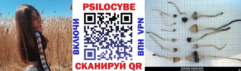 Псилоцибиновые грибы GOLDEN TEACHER  Балаково 
