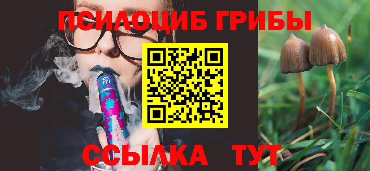 Псилоцибиновые грибы прущие грибы Балаково